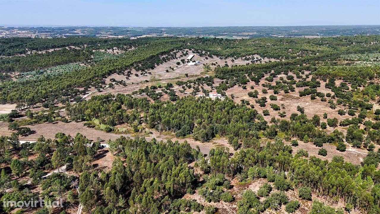 Herdade com total de  140 ha na freguesia da Raposa, Almeirim - Grande imagem: 4/35