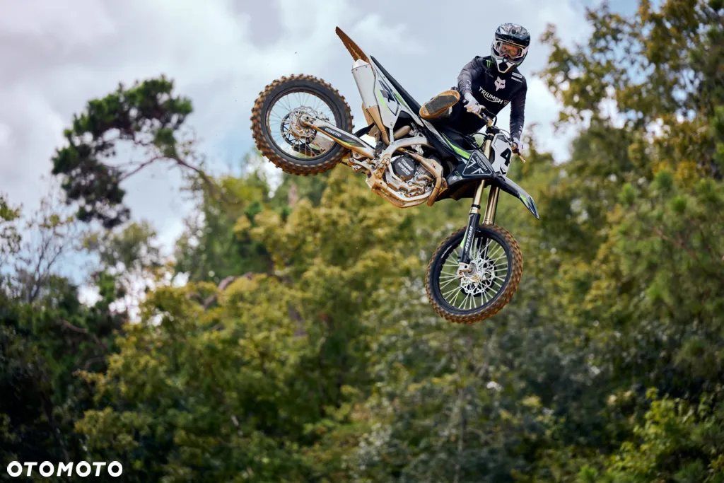 Triumph Inny - 24
