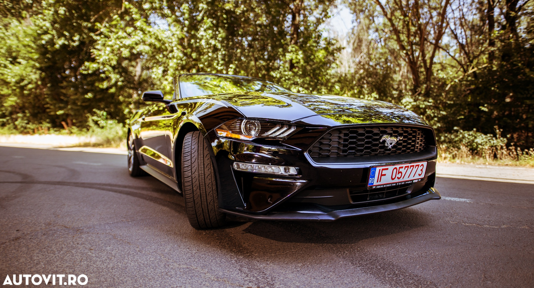 Ford Mustang Cabrio 2.3 Eco Boost - 26