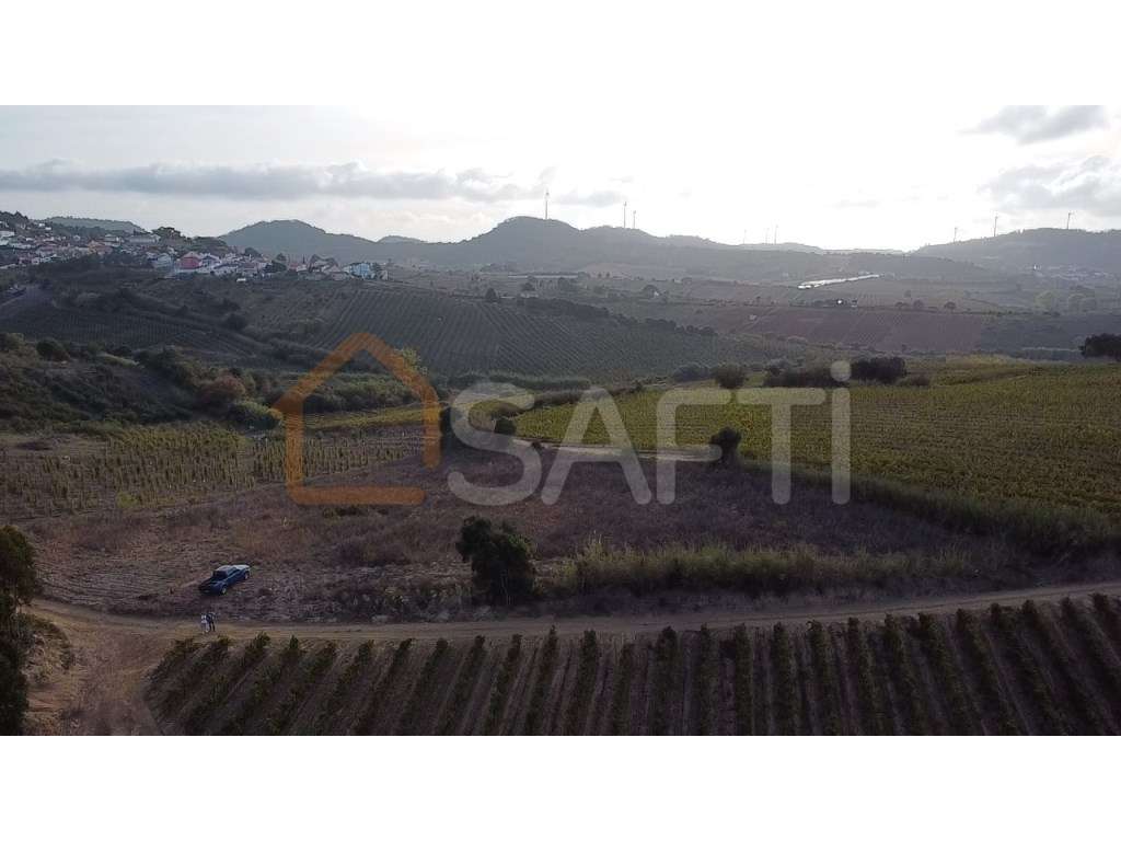 TERRENO RUSTICO - Grande imagem: 3/10