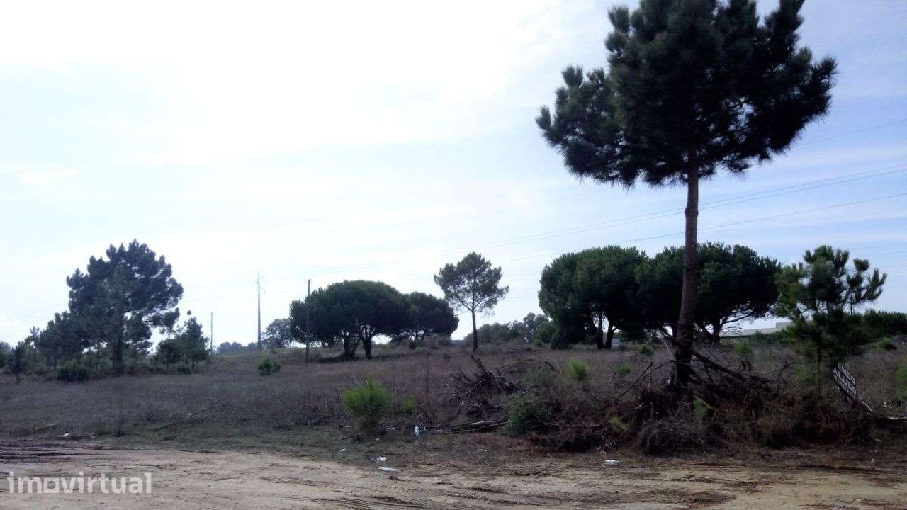 Terreno Venda Setúbal | 6.000 m2 | Zona Industrial Mitrena - Grande imagem: 3/12