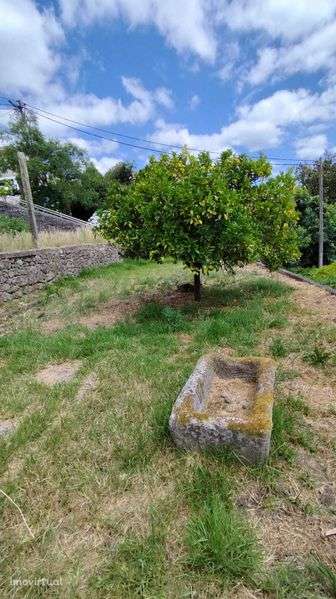 Casa de campo Couto de Baixo - Sever do Vouga - Aveiro - Grande imagem: 5/8