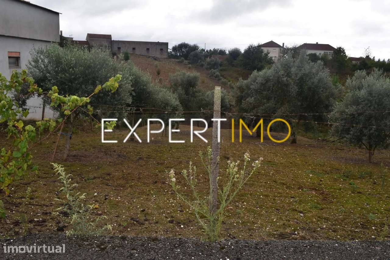 Terreno para construção - Grande imagem: 3/8