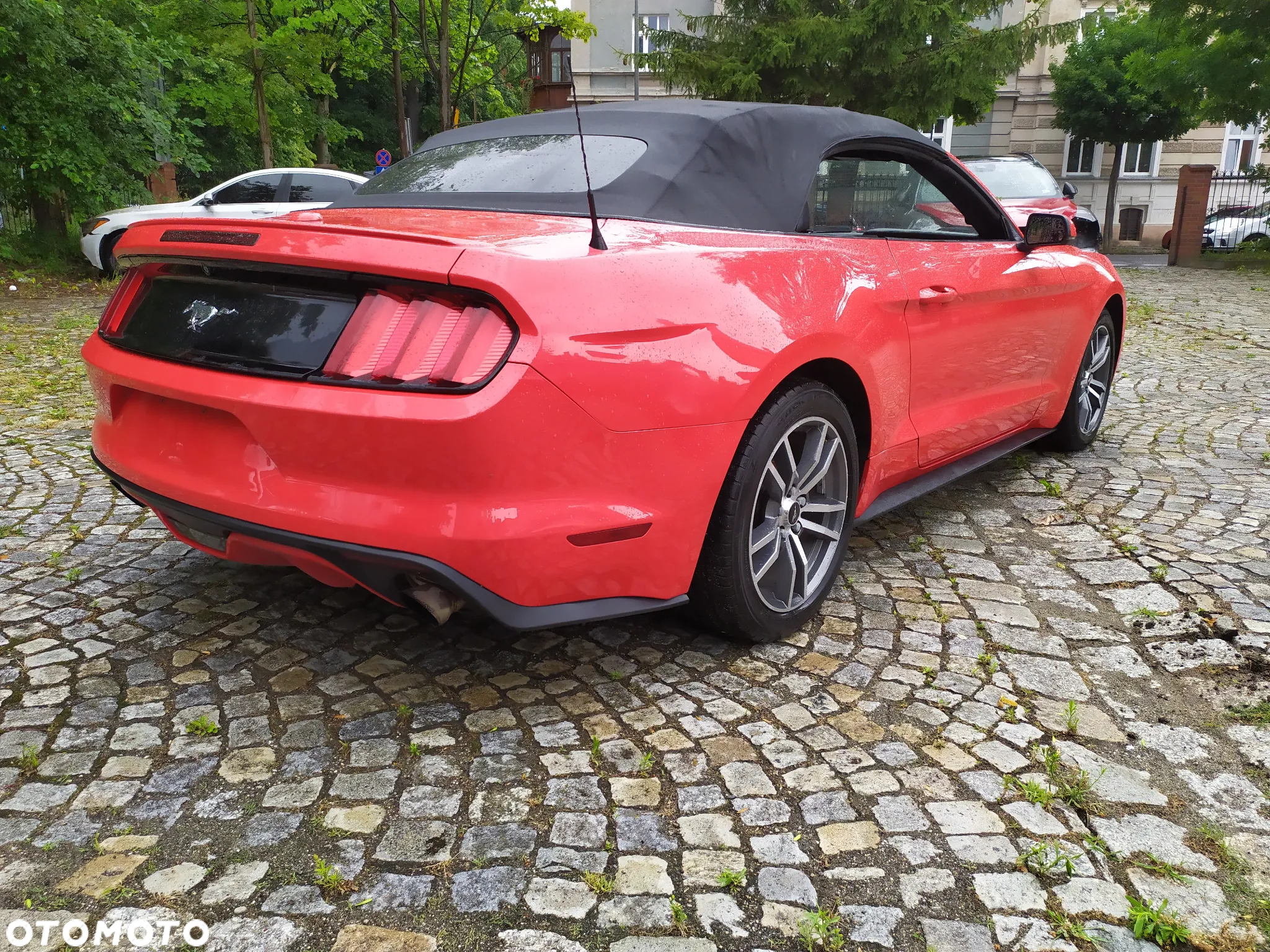 Ford Mustang 2.3 EcoBoost - 8