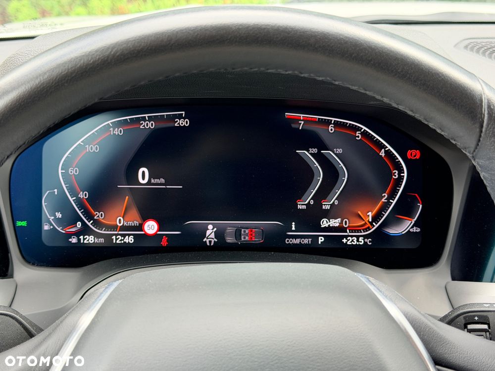 BMW Seria 3 318i - 30