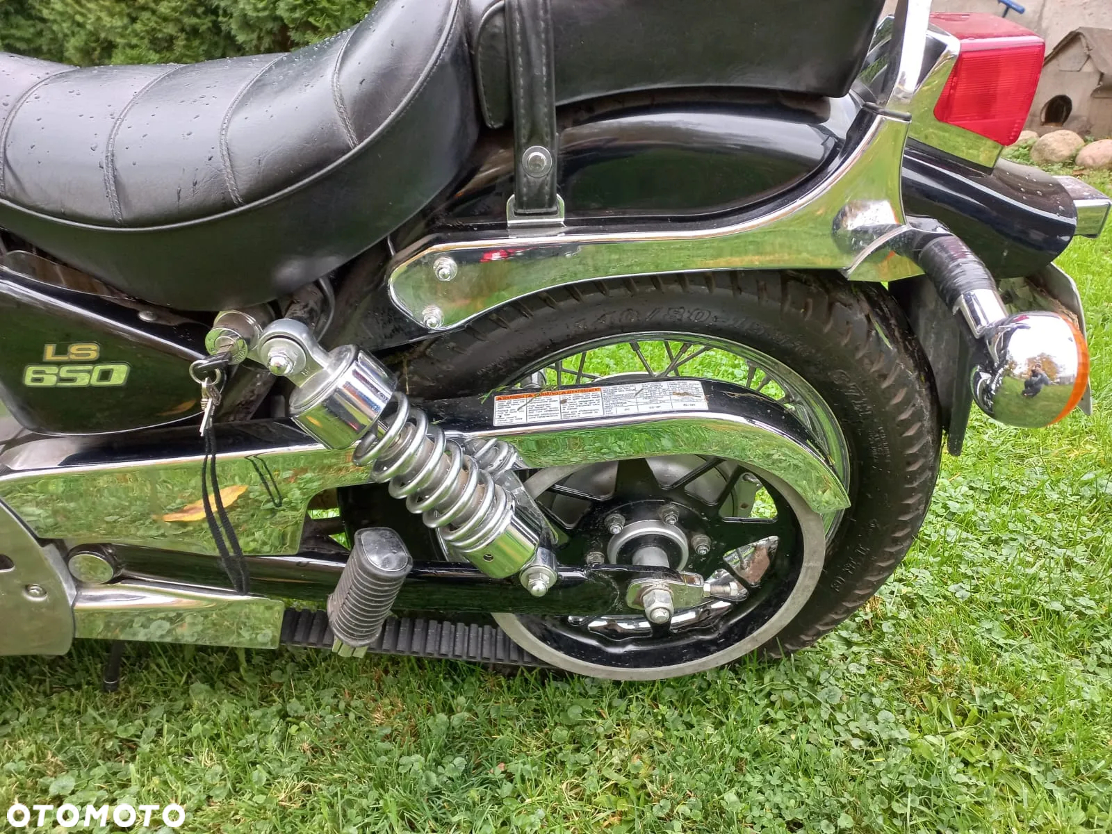 Suzuki Savage - 7