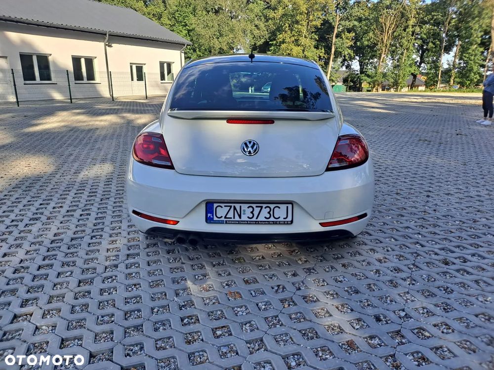 Volkswagen Beetle - 8