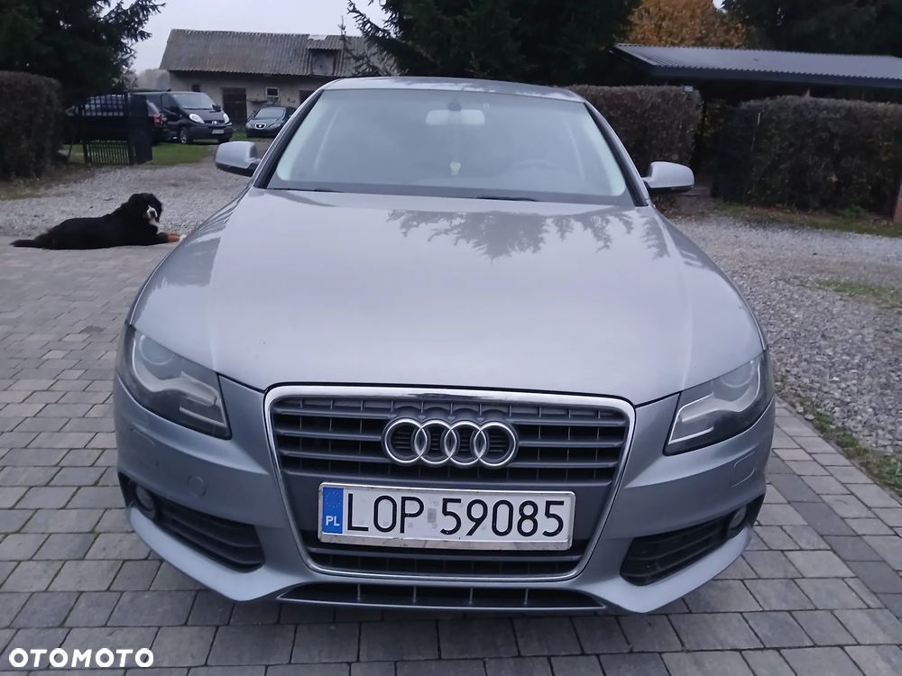 Audi A4 2010 photo 5