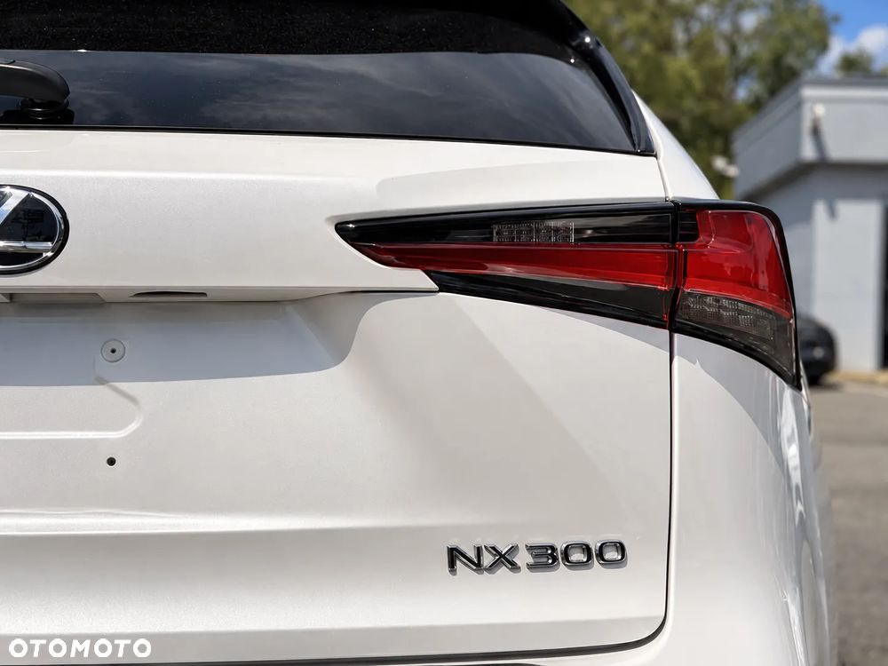 Lexus NX - 6
