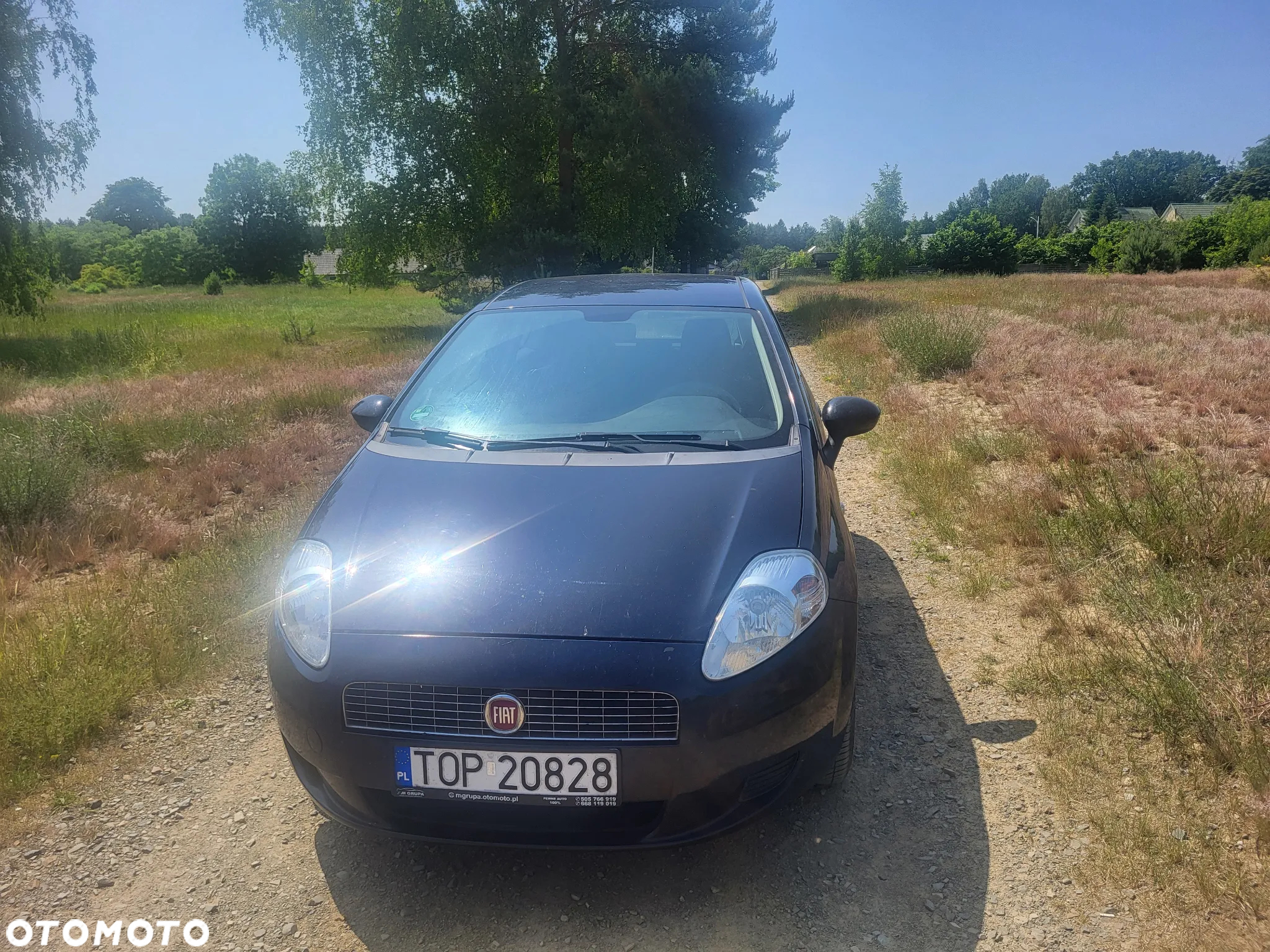 Fiat Grande Punto - 2