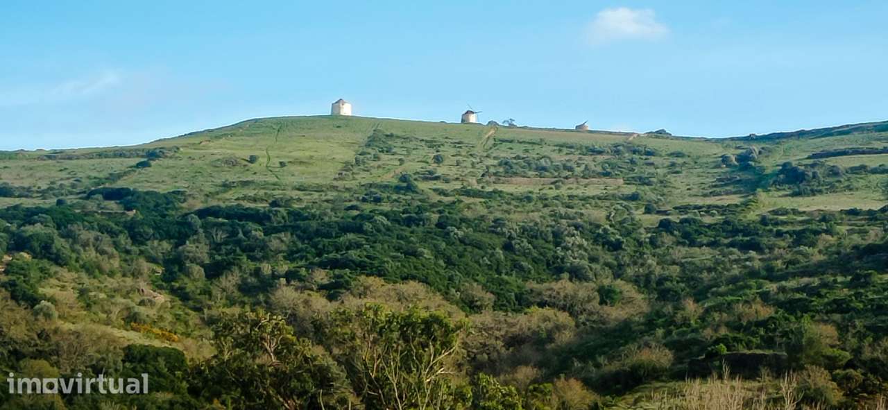 Terreno Rústico  Venda em São João das Lampas e Terrugem,Sintra - Grande imagem: 5/12