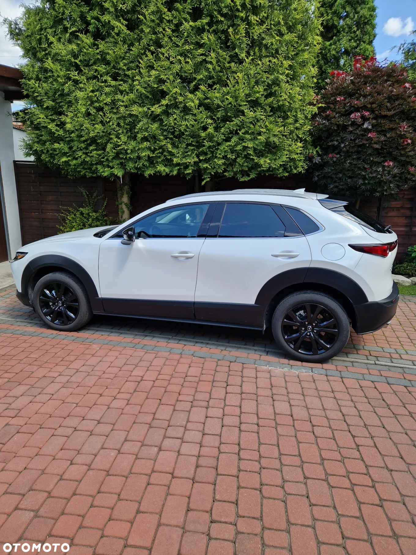Mazda CX-30 e-SKYACTIVE X 186 SKYACTIV-Drive NAGISA - 3