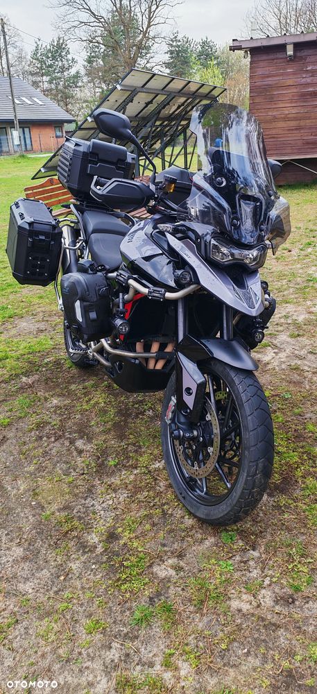 Triumph Tiger - 3