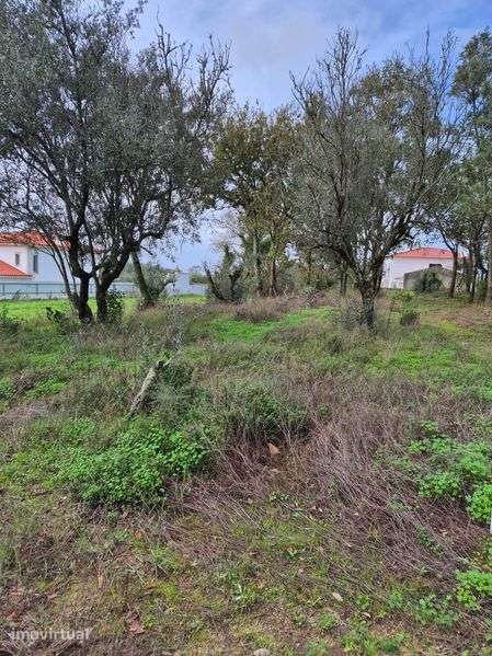Terreno para venda - Grande imagem: 5/6