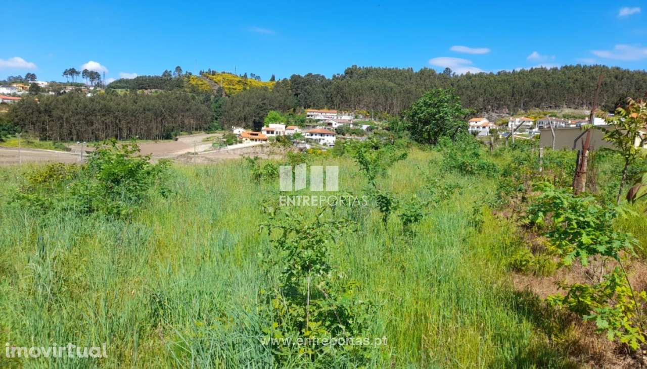 Venda Terreno, Fregim, Amarante - Grande imagem: 4/38