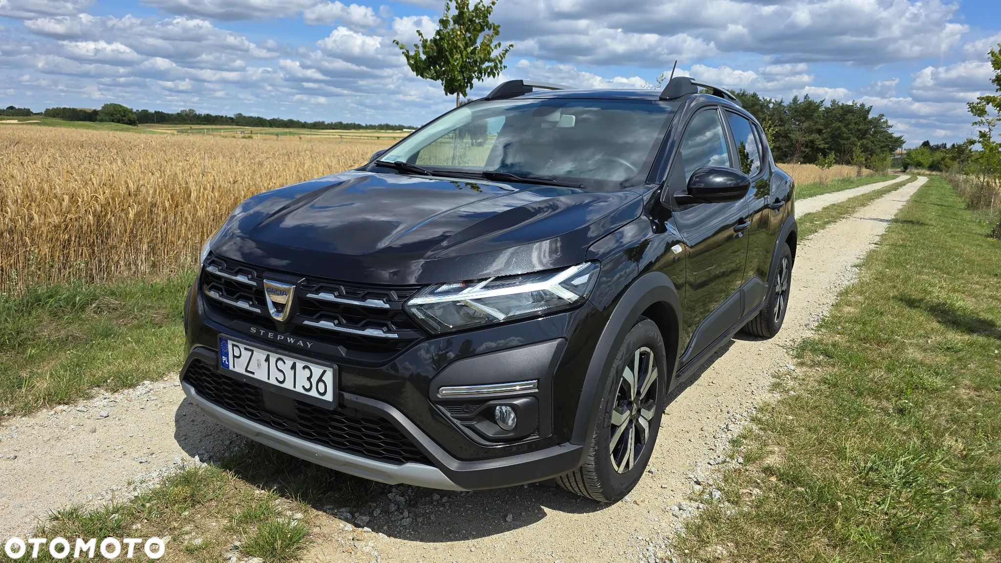 Dacia Sandero Stepway - 1