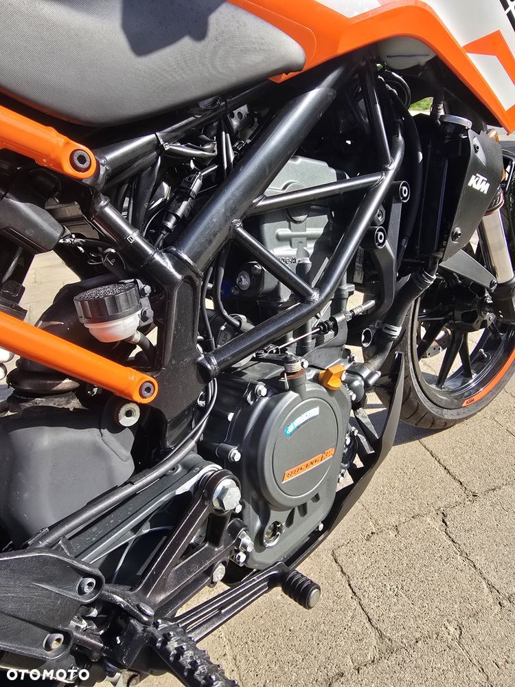KTM Duke - 5