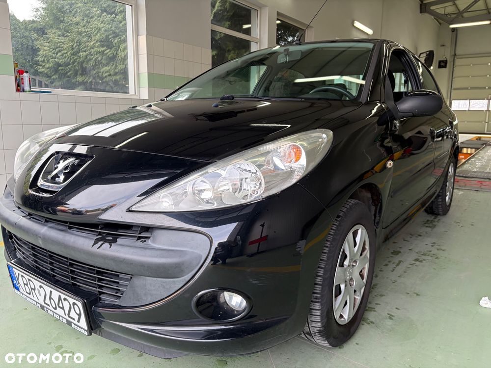 Peugeot 206 plus 60 - 12