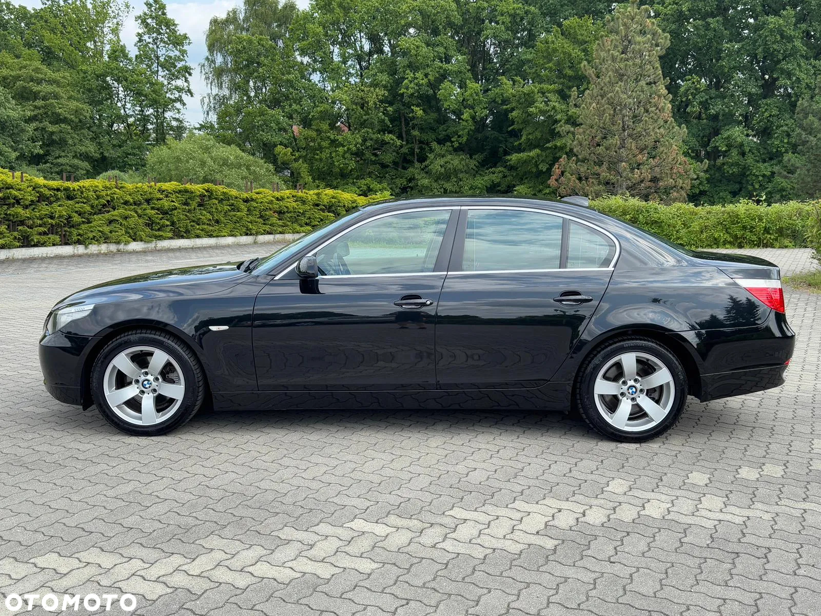 BMW Seria 5 525i - 8