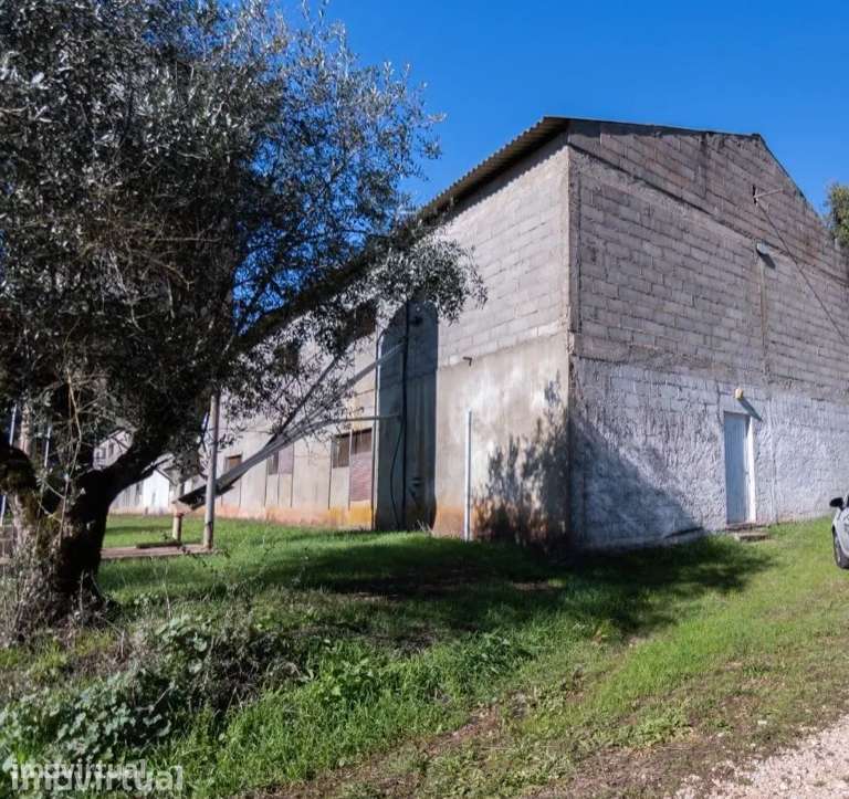 Antigo Aviario para arrendamento 1.500 € - Grande imagem: 3/17