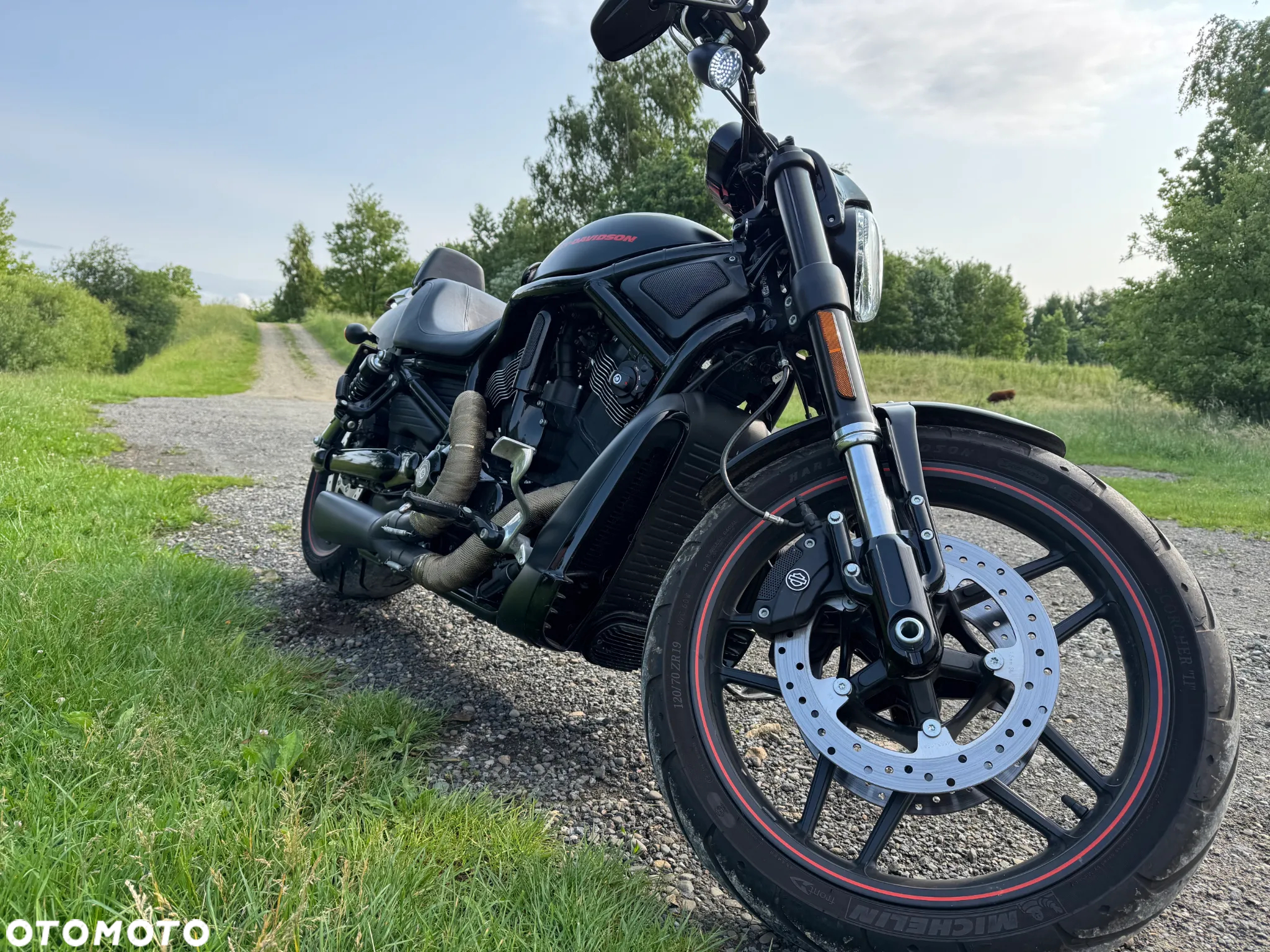 Harley-Davidson V-Rod Night Rod - 3
