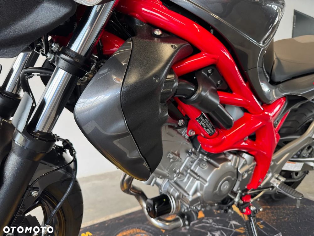 Suzuki Gladius - 19