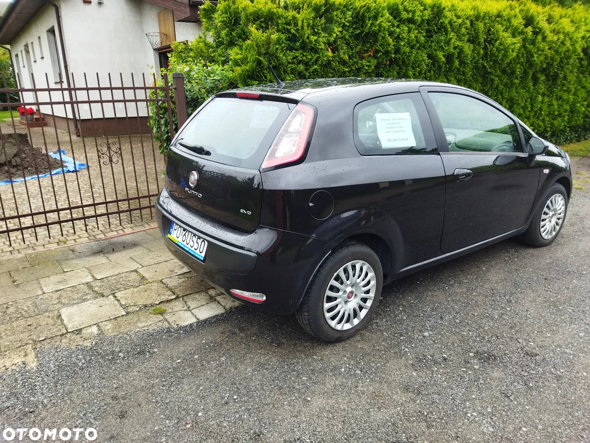 Fiat Punto - 4