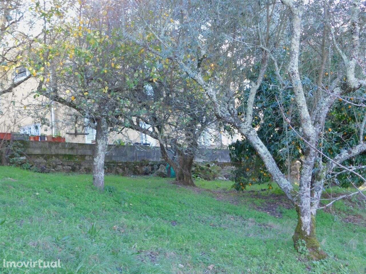 Terreno / Seia, Seia, São Romão e Lapa dos Dinheiros - Grande imagem: 3/5