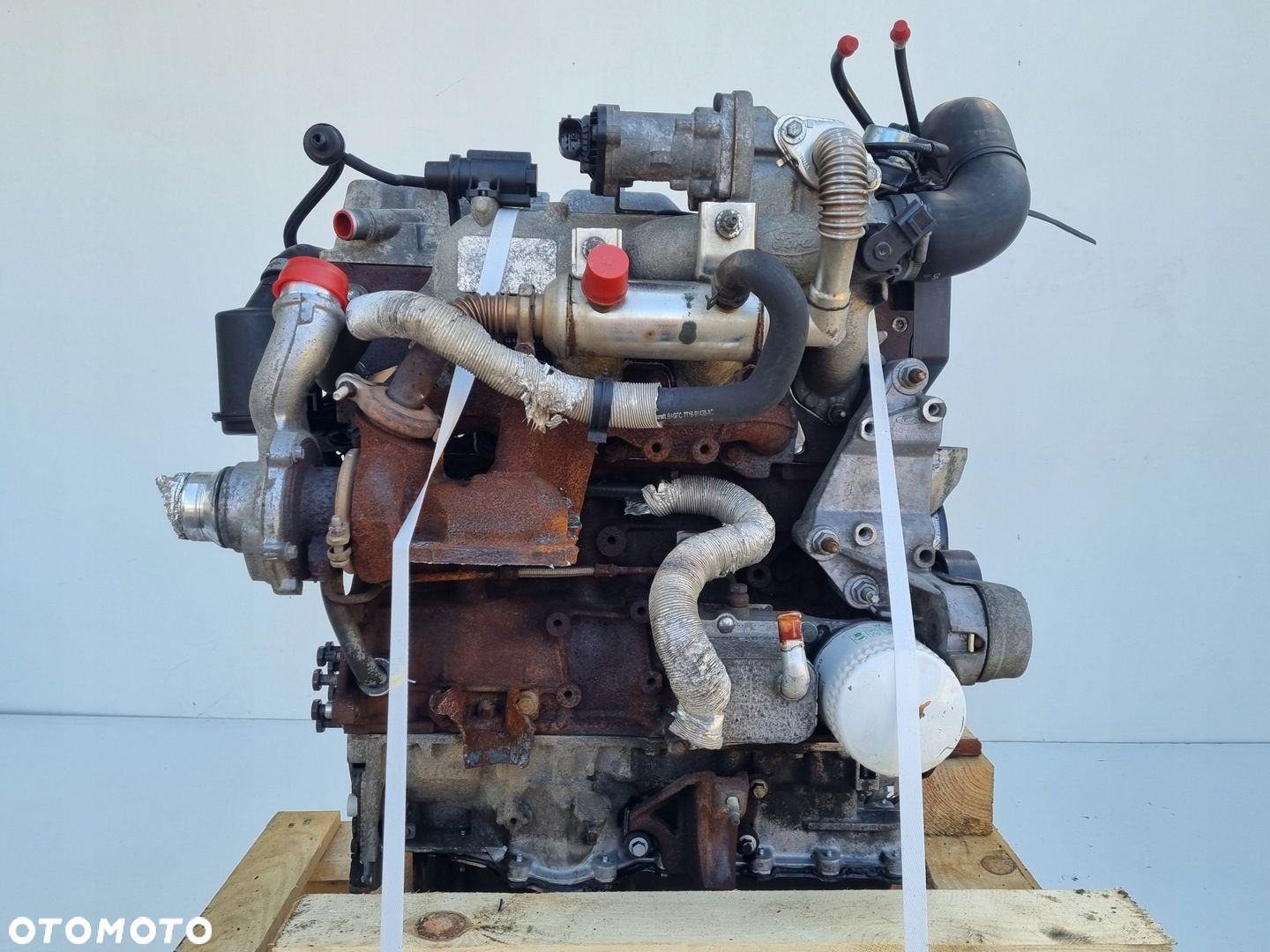 SILNIK KOMPLET Ford Transit Connect 1.8 TDCI 90KM R3PA - 5