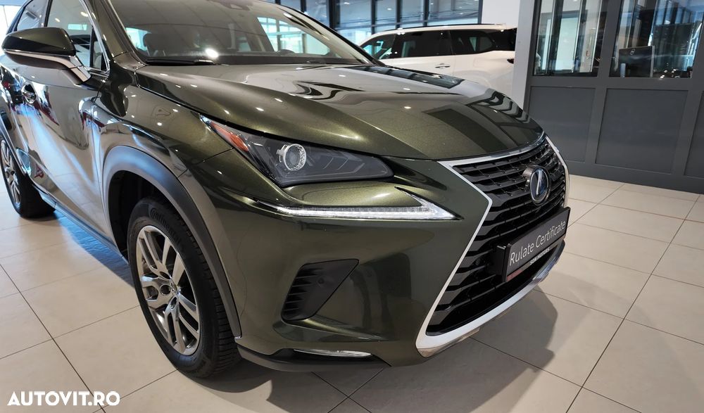 Lexus Seria NX 350h AWD CVT HEV Executive - 11