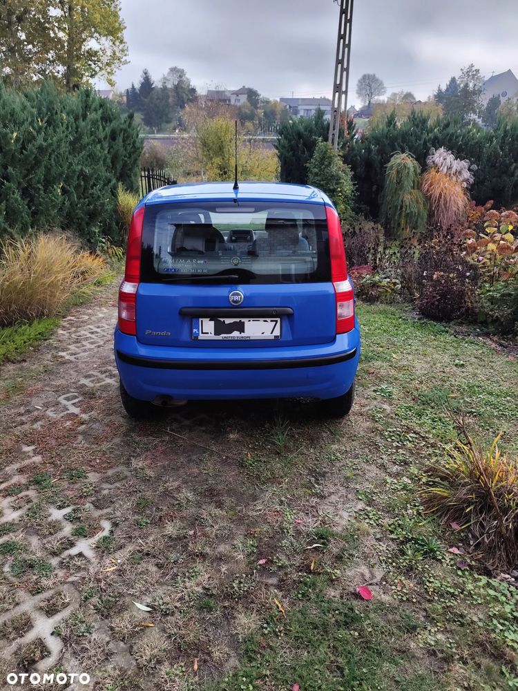 Fiat Panda - 2