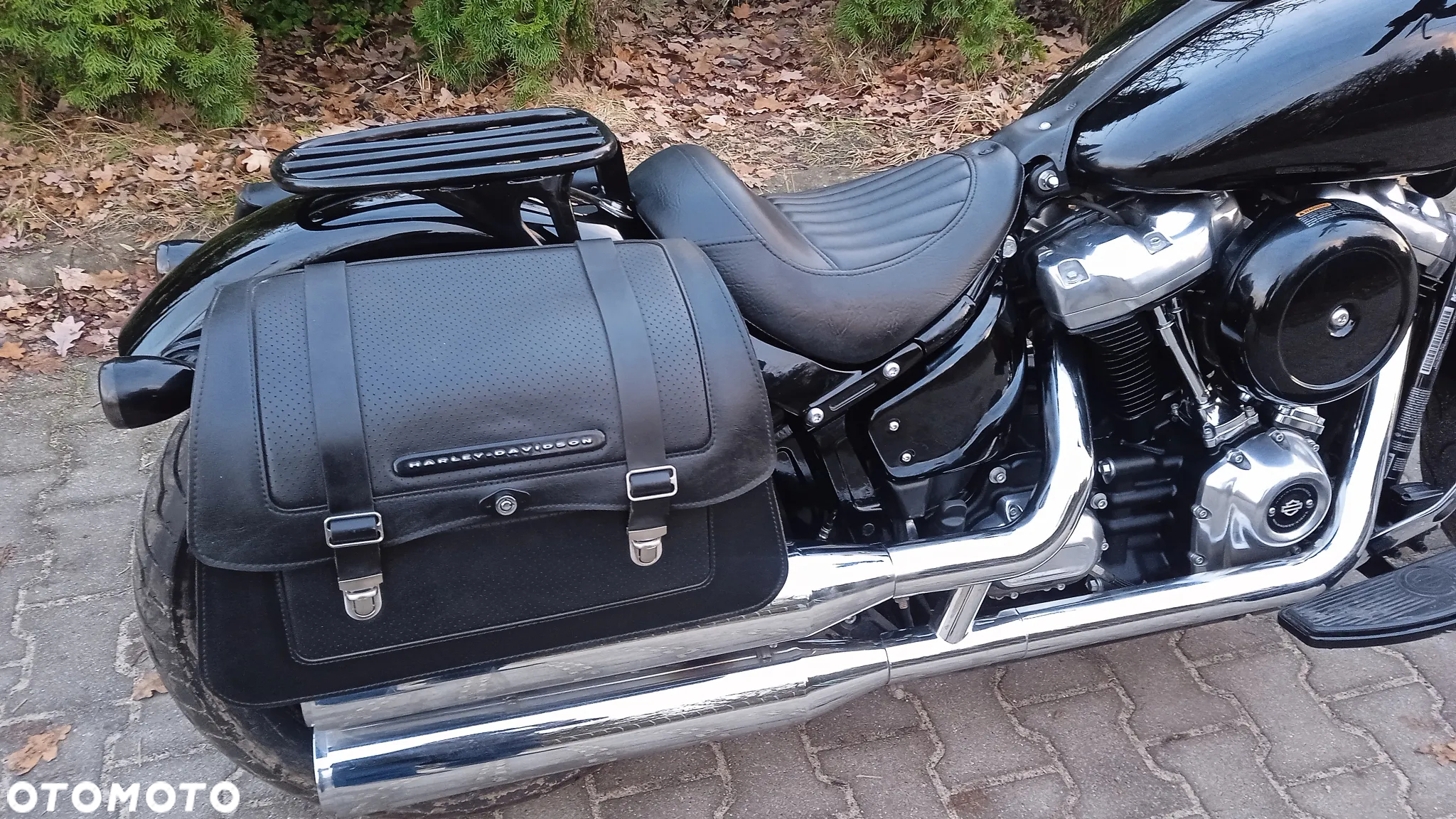 Harley-Davidson Softail Slim - 10