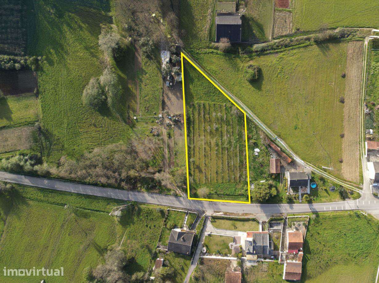 Terreno para construção com poço - Lousã - Grande imagem: 4/11