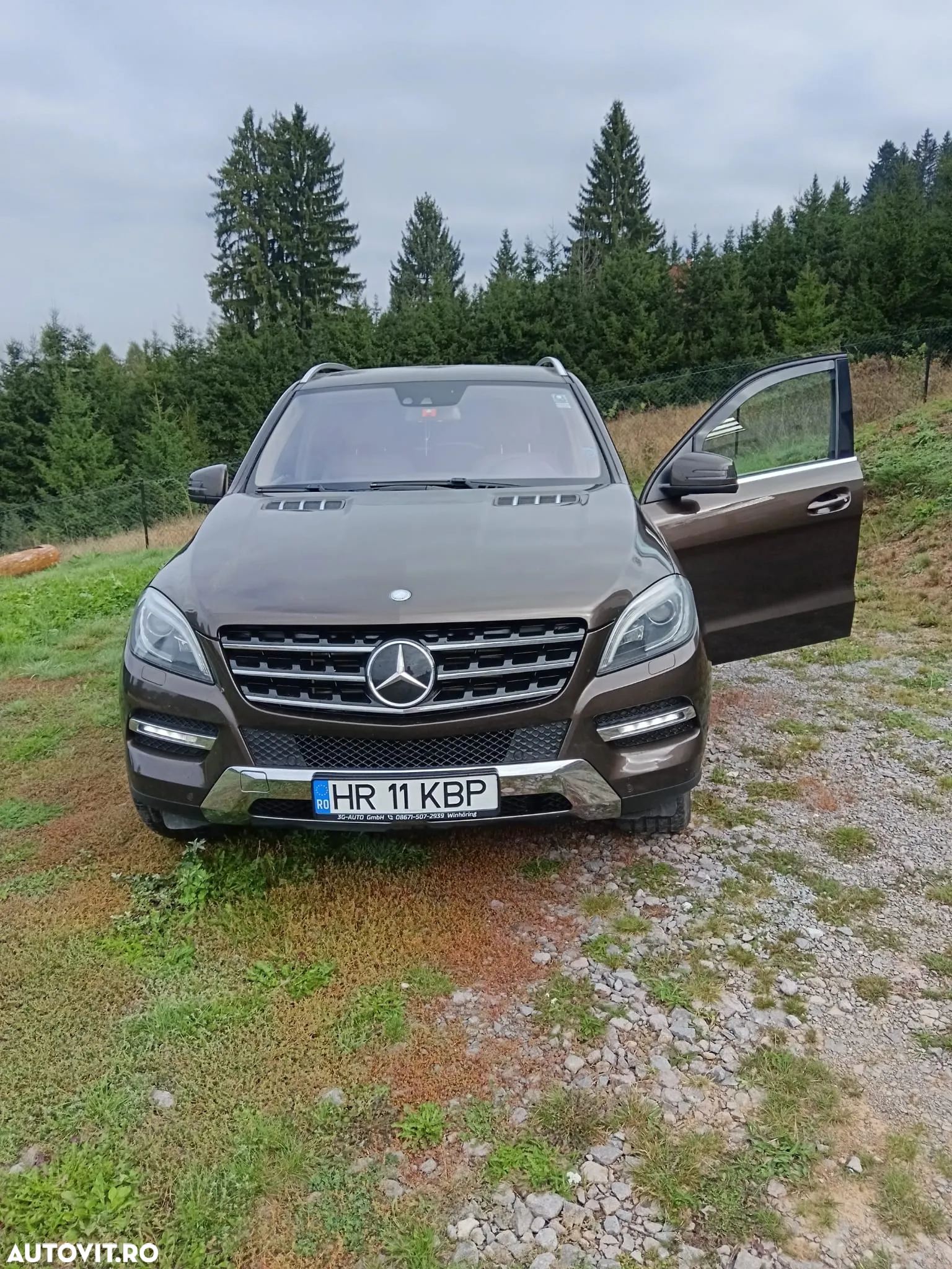 Mercedes-Benz ML - 15