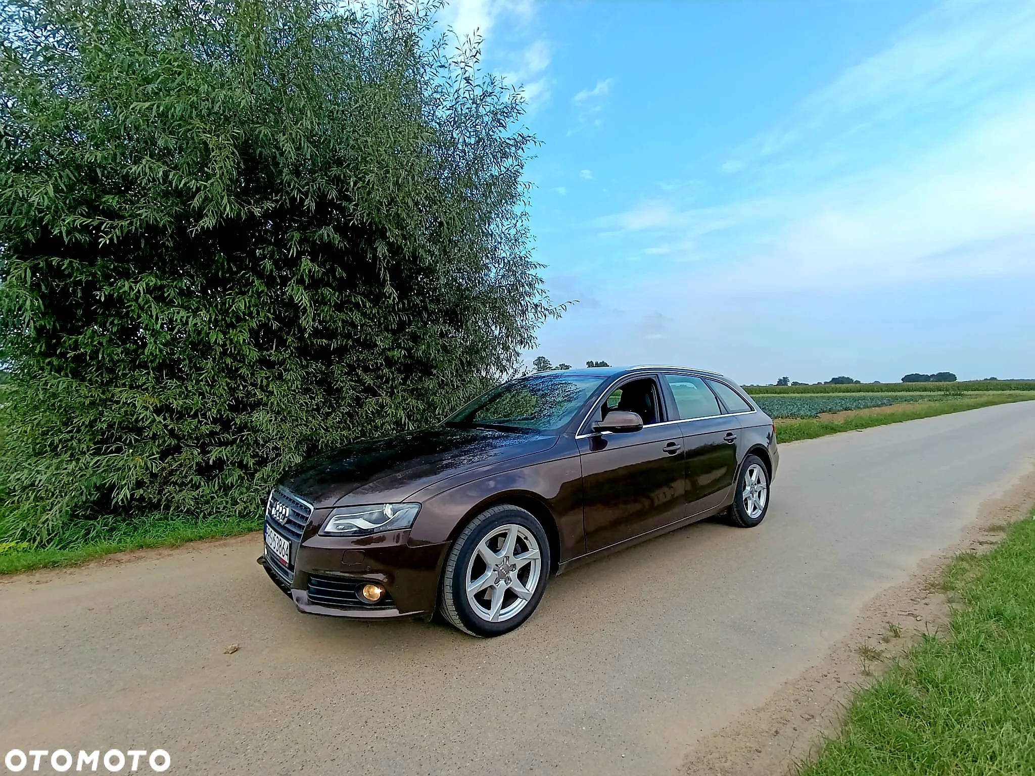 Audi A4 2.0 TDI DPF multitronic Ambition - 7
