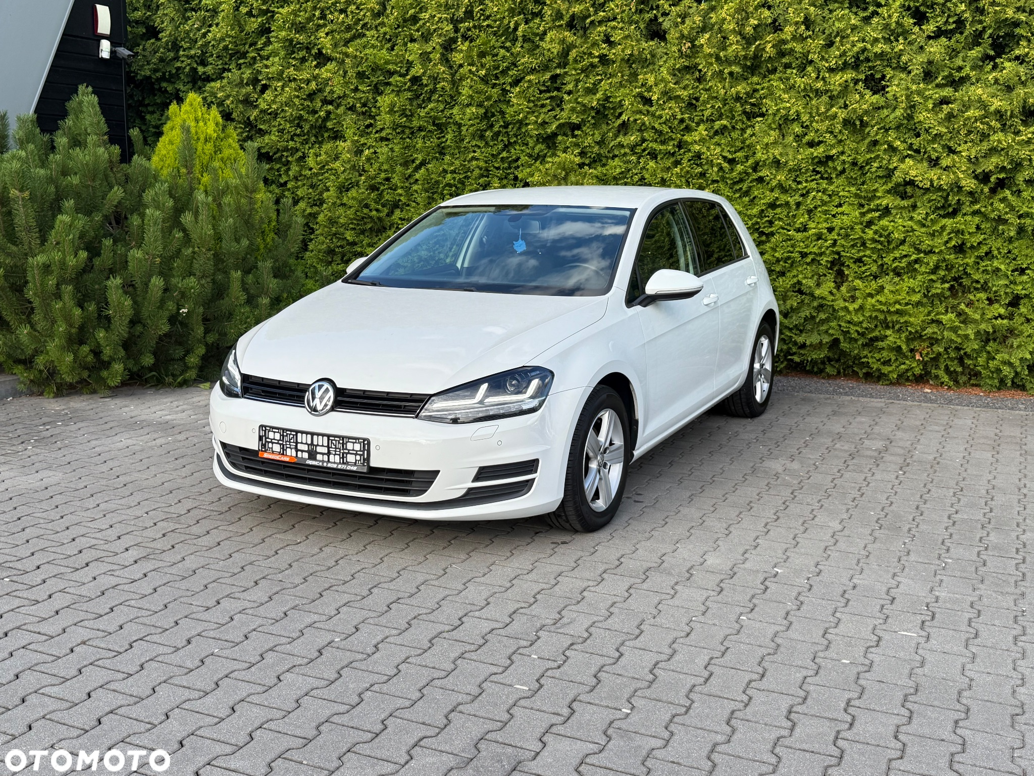 Volkswagen Golf - 2