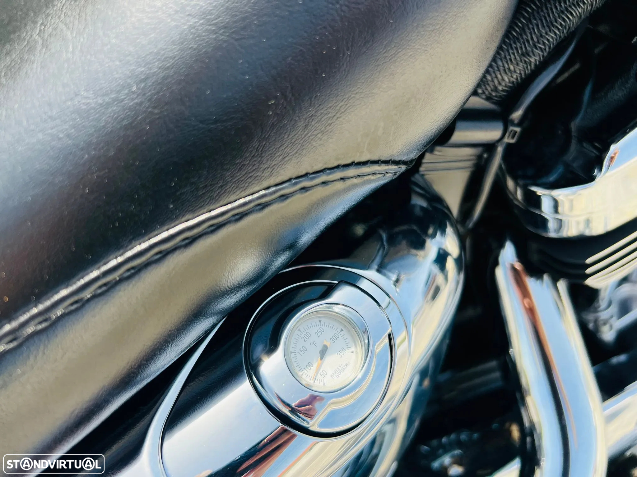 Harley-Davidson Sportster 1200 custom - 10