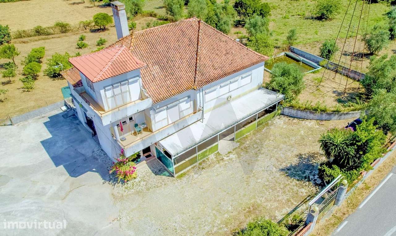 Quinta com 14.920m2 com Moradia T6 e Café em Tomar - Grande imagem: 2/60