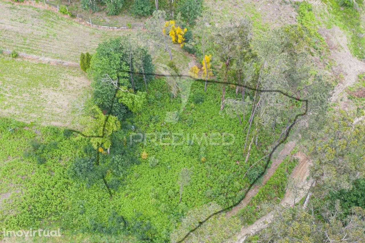 Terreno em Gême, Vila Verde - Braga - Grande imagem: 2/9
