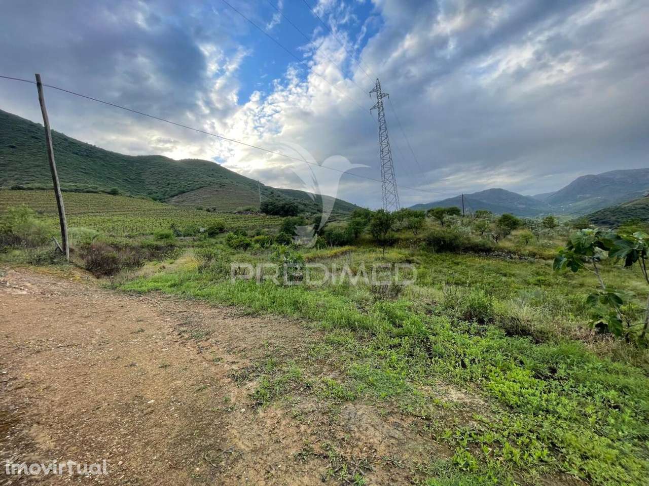 Quinta Agrícola com 2,3 Hectares em Murça | Vila Nova de Foz Côa - Grande imagem: 2/7