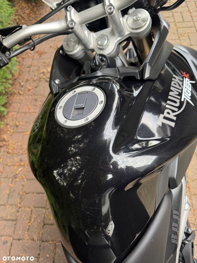 Triumph Tiger - 18