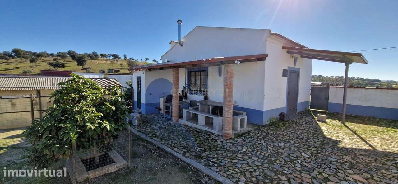 Herdade de 62 Hectares no Coração do Alentejo – Évora  - Agricultura - - Grande imagem: 3/33
