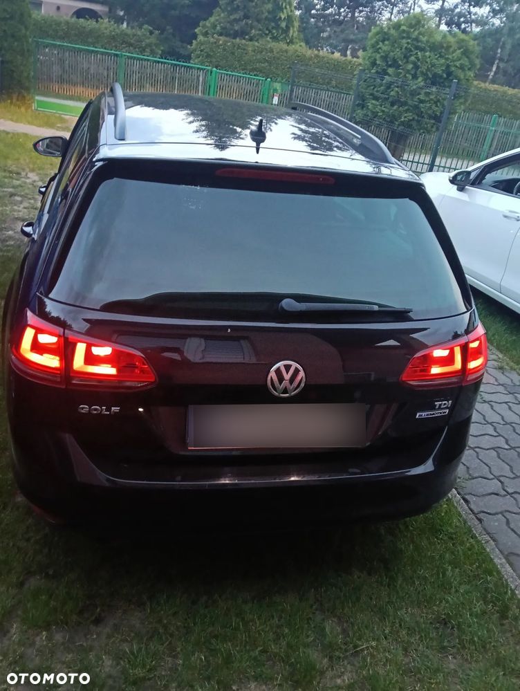 Volkswagen Golf - 7