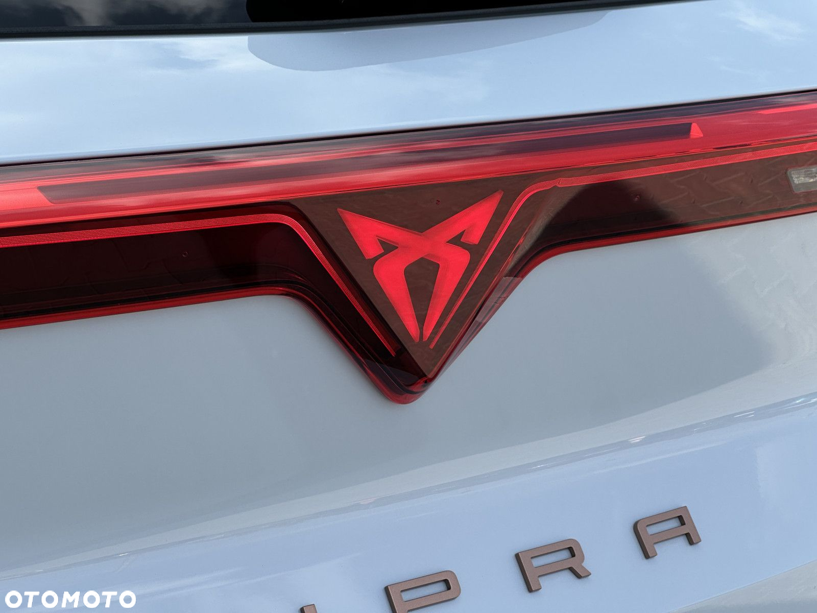 Cupra Terramar - 14