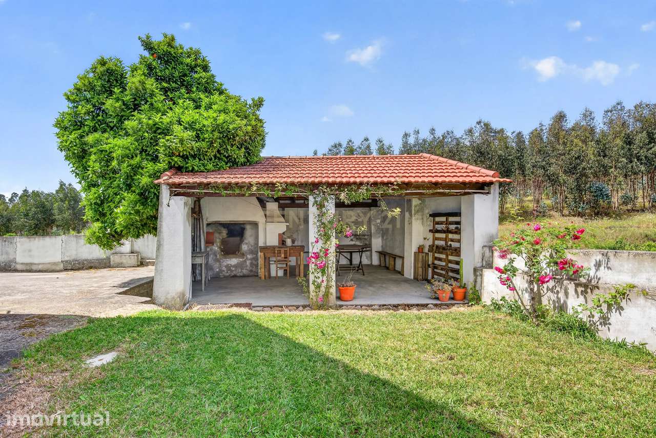 Encantadora Moradia em Tramagal, Abrantes - 5 Quartos - Grande imagem: 3/34