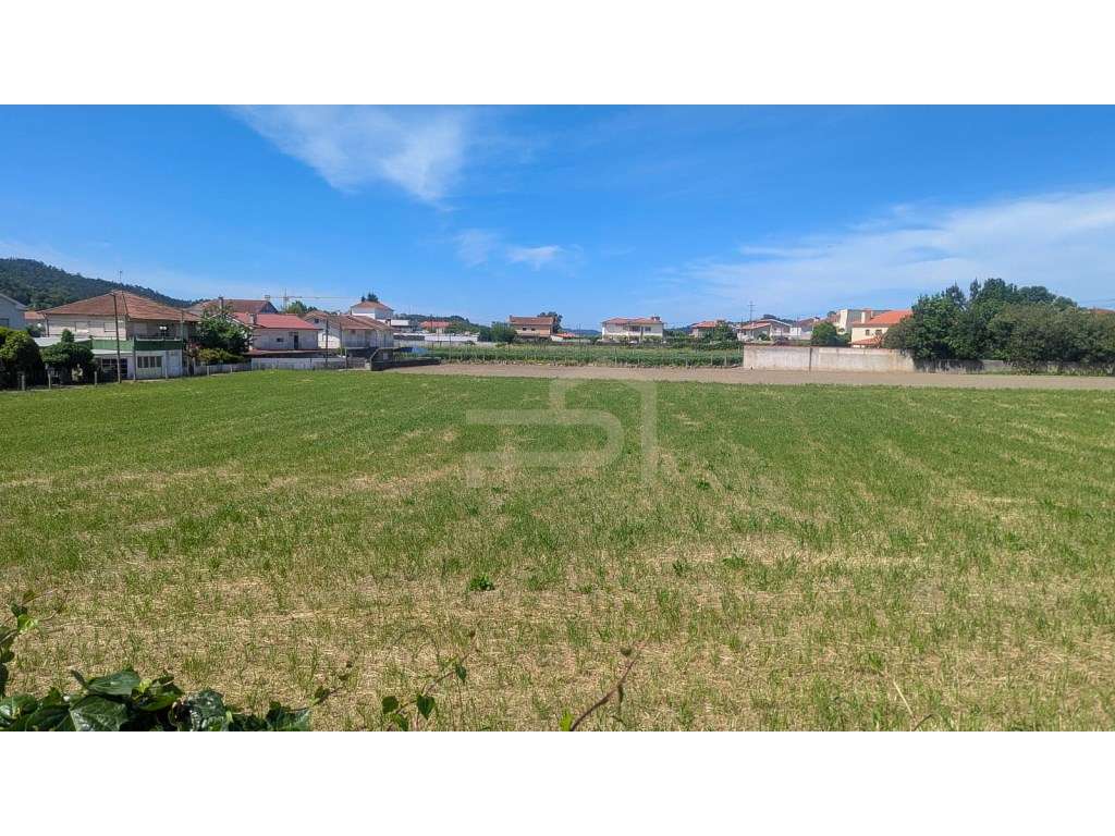 Terreno de construção na freguesia de Telhado - Grande imagem: 3/7