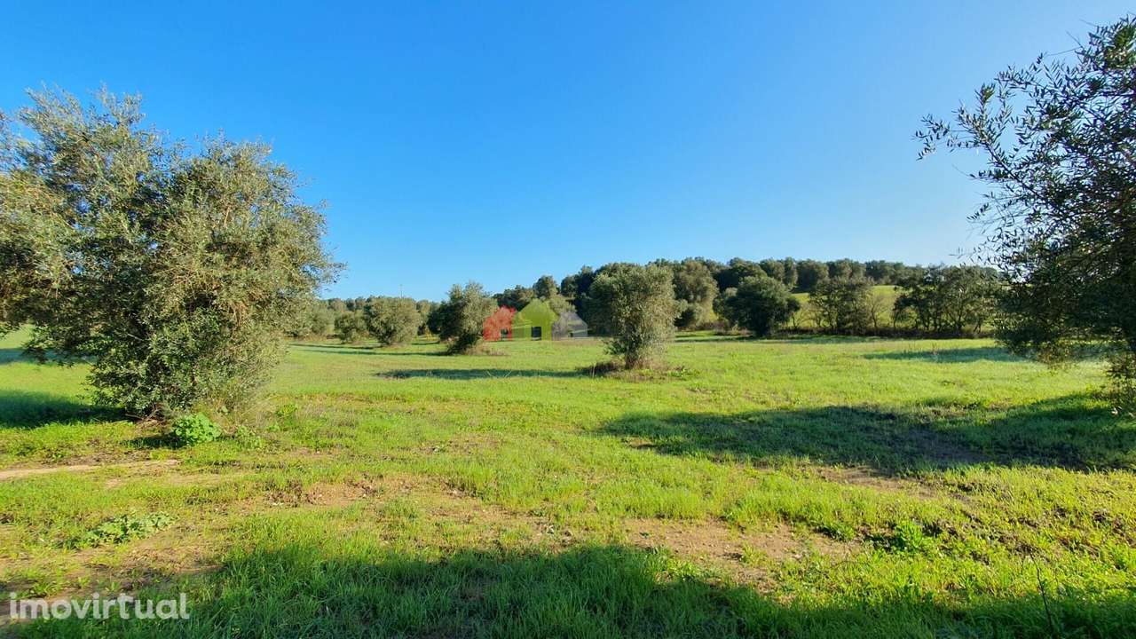 Lavre - Grande imagem: 4/16