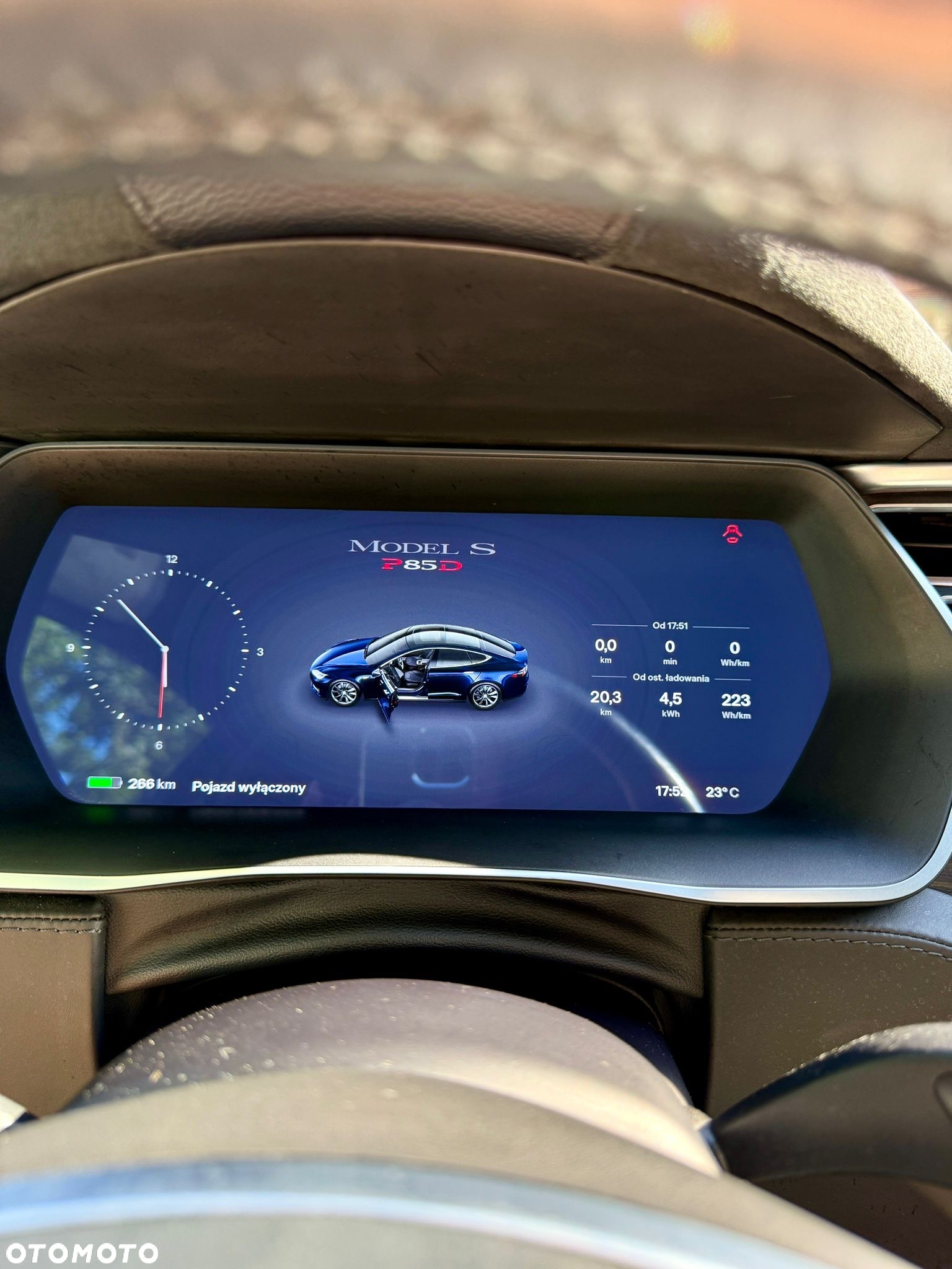 Tesla Model S Performance - 19