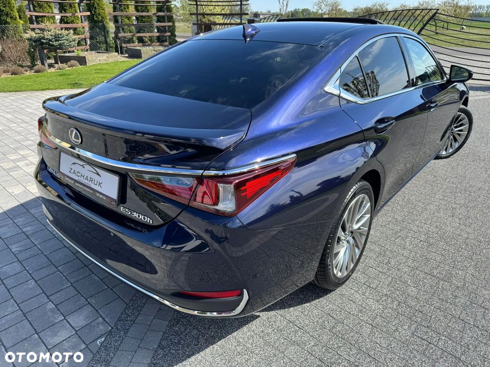 Lexus ES 300h Omotenashi - 11