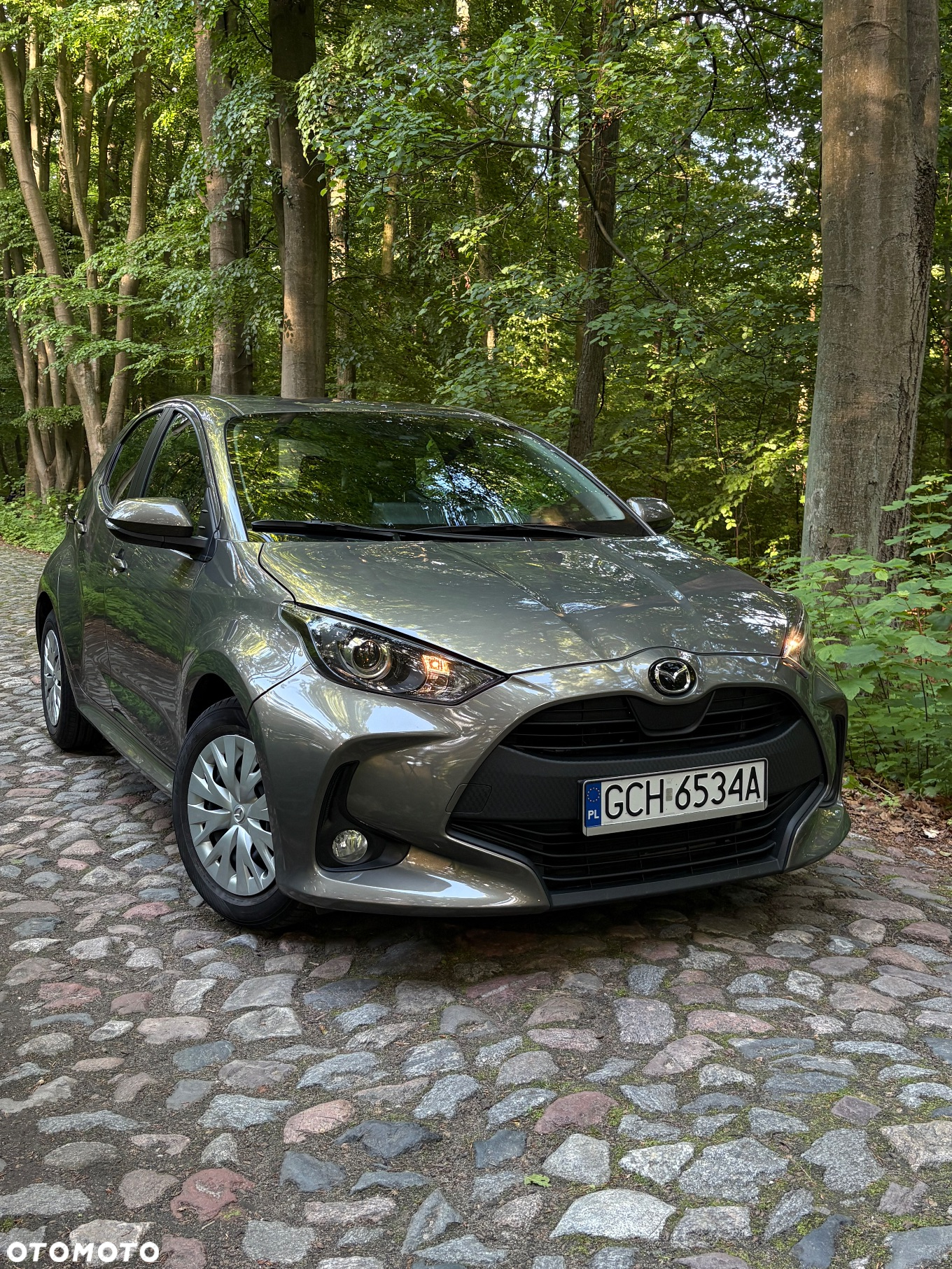 Mazda 2 - 7